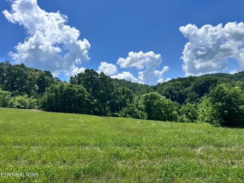 Photo of 161 Garfield Lane, Sharps Chapel, TN 37866 (MLS # 1327462)