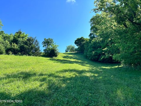 Tiny photo for 161 Garfield Lane, Sharps Chapel, TN 37866 (MLS # 1327462)