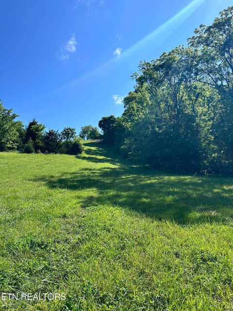 Tiny photo for 161 Garfield Lane, Sharps Chapel, TN 37866 (MLS # 1327462)