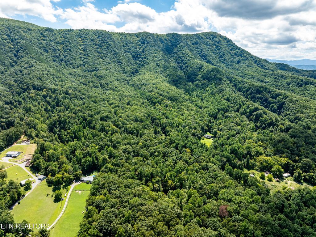 Photo of 3684 Collier Loop, Dandridge, TN 37725 (MLS # 1313188)