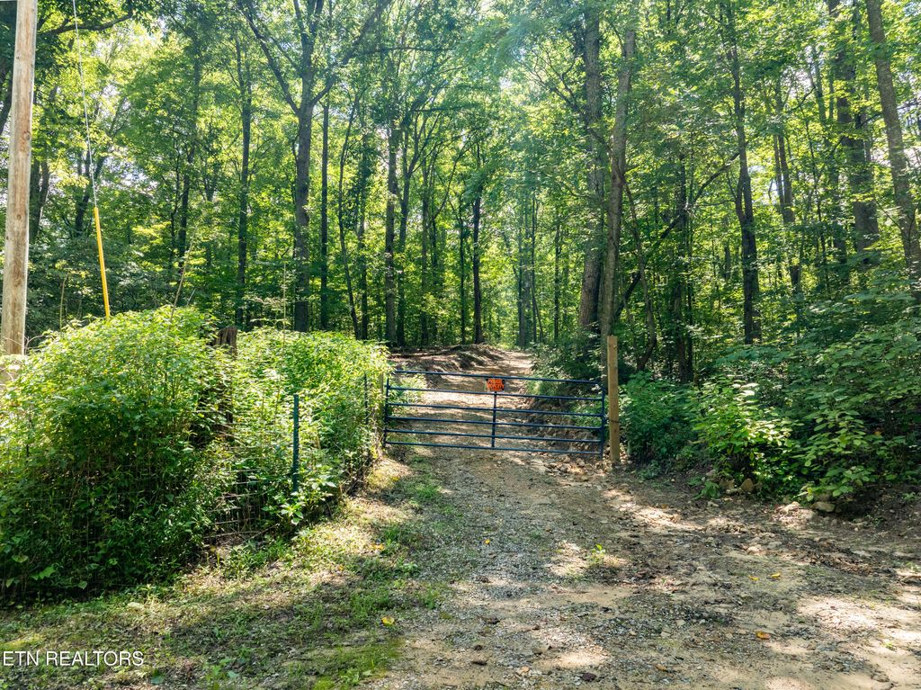 Photo of 3684 Collier Loop, Dandridge, TN 37725 (MLS # 1313188)