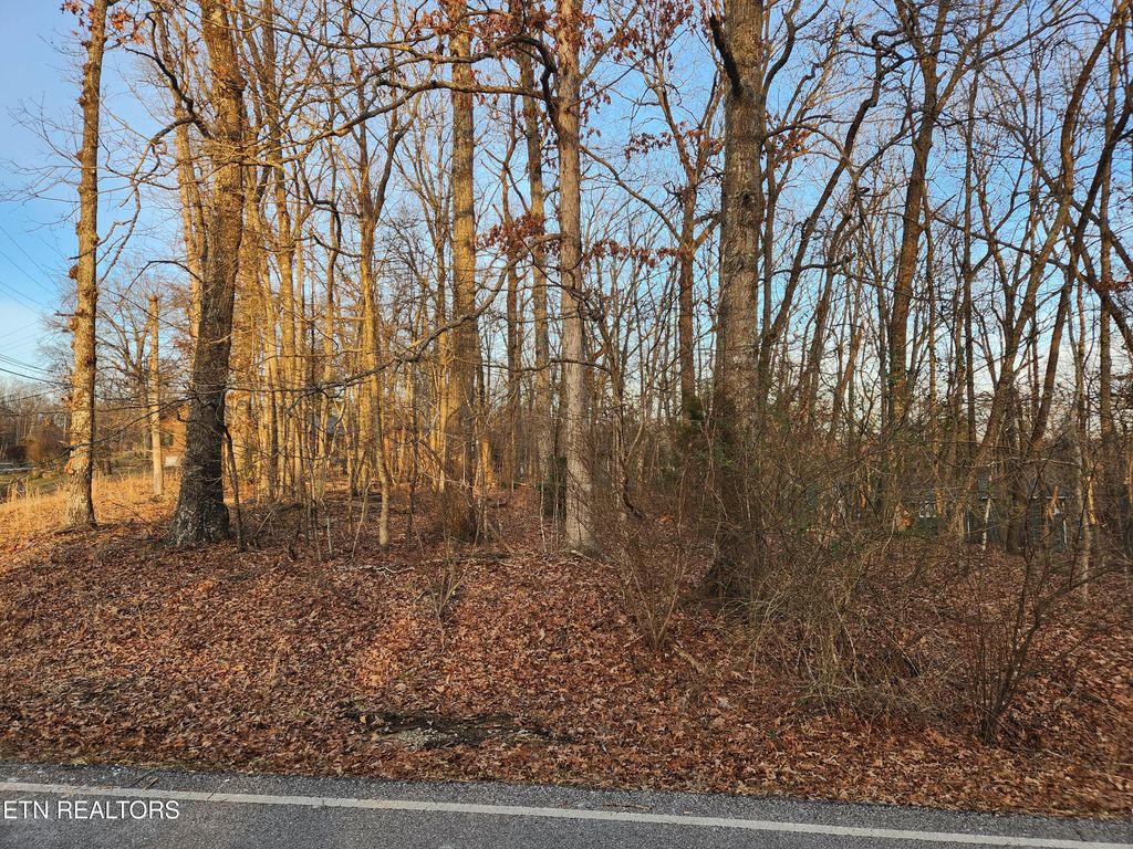 Photo of 101 Ivy Brook Lane, Crossville, TN 38558 (MLS # 1327706)