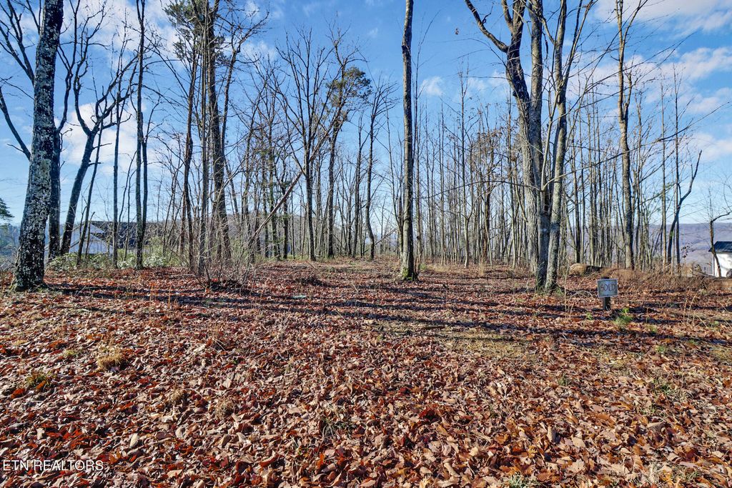 Photo of 1309 Wind Rush Way, Monterey, TN 38574 (MLS # 1330143)