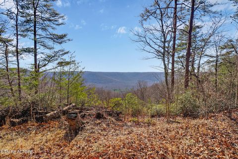 Photo of 1309 Wind Rush Way, Monterey, TN 38574 (MLS # 1330143)
