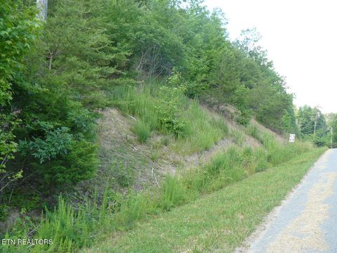 Tiny photo for 539 Whistle Valley Rd, New Tazewell, TN 37825 (MLS # 1322927)