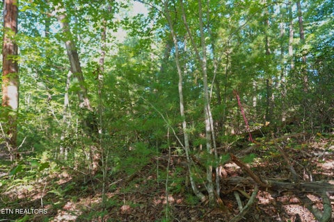 Tiny photo for 3738 Oliver Way, Sevierville, TN 37876 (MLS # 1358350)