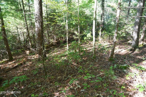 Tiny photo for 3738 Oliver Way, Sevierville, TN 37876 (MLS # 1358350)