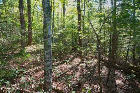 Tiny photo for 3738 Oliver Way, Sevierville, TN 37876 (MLS # 1358350)