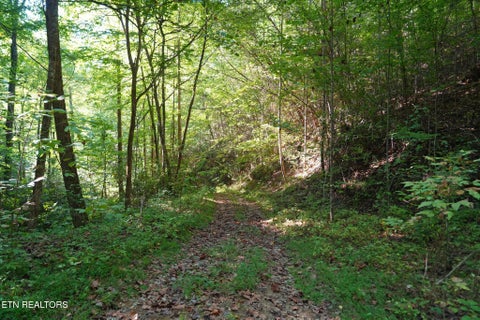 Tiny photo for 3738 Oliver Way, Sevierville, TN 37876 (MLS # 1358350)