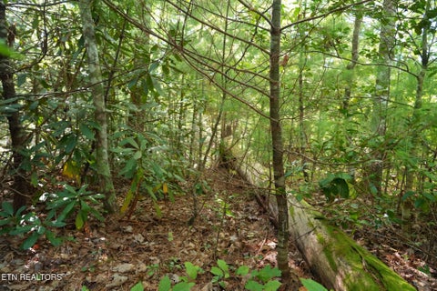 Tiny photo for 3738 Oliver Way, Sevierville, TN 37876 (MLS # 1358350)