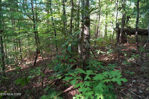 Tiny photo for 3738 Oliver Way, Sevierville, TN 37876 (MLS # 1358350)