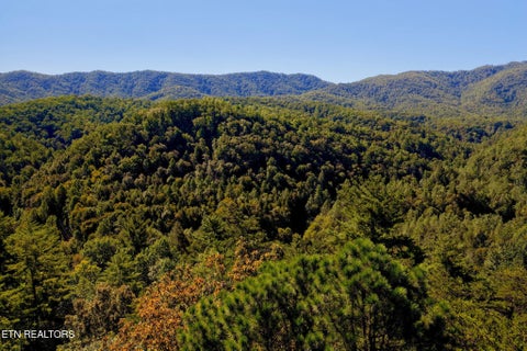Tiny photo for 3738 Oliver Way, Sevierville, TN 37876 (MLS # 1358350)