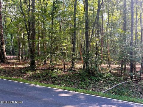 Tiny photo for 5 Pleasant Hill Rd, Ten Mile, TN 37880 (MLS # 1334663)