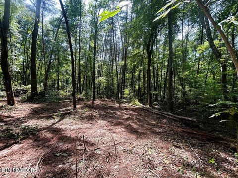 Tiny photo for 5 Pleasant Hill Rd, Ten Mile, TN 37880 (MLS # 1334663)