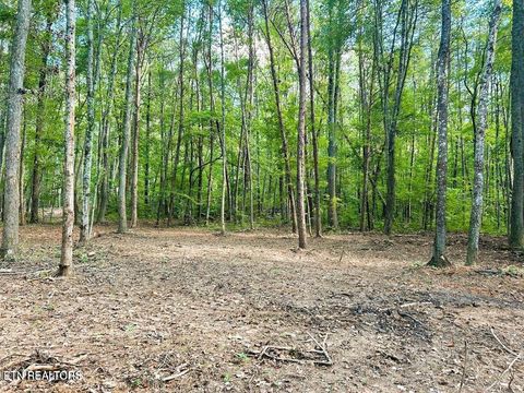 Tiny photo for 5 Pleasant Hill Rd, Ten Mile, TN 37880 (MLS # 1334663)