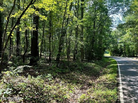 Tiny photo for 5 Pleasant Hill Rd, Ten Mile, TN 37880 (MLS # 1334663)