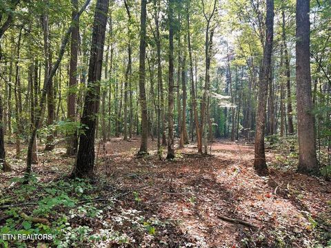 Tiny photo for 5 Pleasant Hill Rd, Ten Mile, TN 37880 (MLS # 1334663)