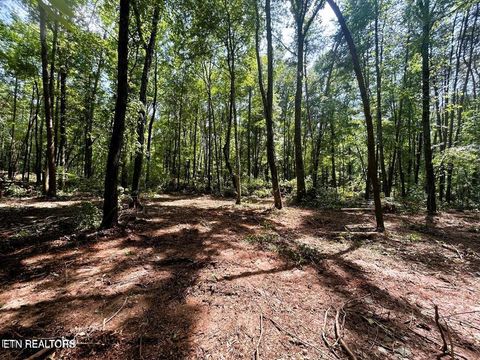 Photo of 5 Pleasant Hill Rd, Ten Mile, TN 37880 (MLS # 1334663)