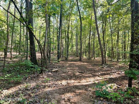 Tiny photo for 5 Pleasant Hill Rd, Ten Mile, TN 37880 (MLS # 1334663)