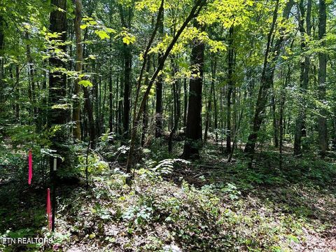 Tiny photo for 5 Pleasant Hill Rd, Ten Mile, TN 37880 (MLS # 1334663)