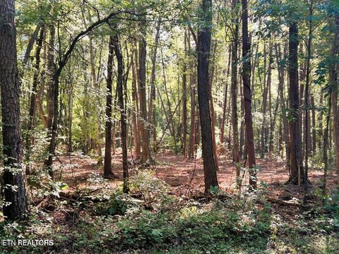 Tiny photo for 5 Pleasant Hill Rd, Ten Mile, TN 37880 (MLS # 1334663)