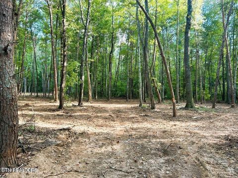 Tiny photo for 5 Pleasant Hill Rd, Ten Mile, TN 37880 (MLS # 1334663)