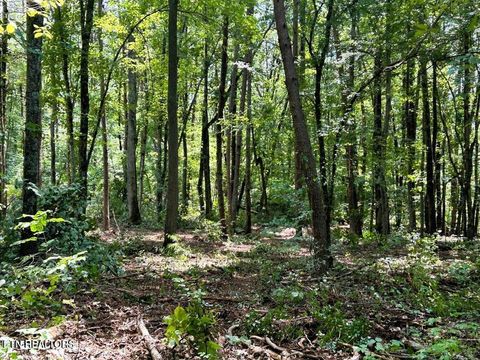 Tiny photo for 5 Pleasant Hill Rd, Ten Mile, TN 37880 (MLS # 1334663)