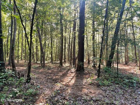 Tiny photo for 5 Pleasant Hill Rd, Ten Mile, TN 37880 (MLS # 1334663)