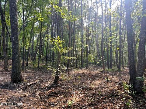 Tiny photo for 5 Pleasant Hill Rd, Ten Mile, TN 37880 (MLS # 1334663)