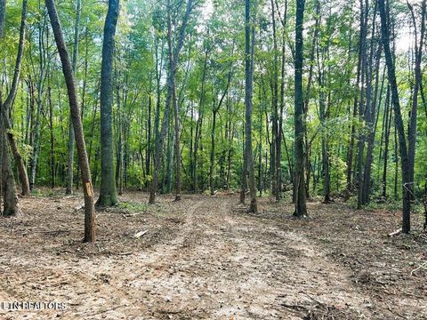 Tiny photo for 5 Pleasant Hill Rd, Ten Mile, TN 37880 (MLS # 1334663)
