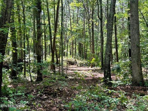 Tiny photo for 5 Pleasant Hill Rd, Ten Mile, TN 37880 (MLS # 1334663)