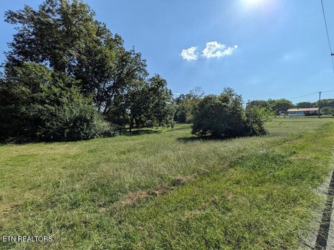 Tiny photo for 1807 Chestnut St, Sweetwater, TN 37874 (MLS # 1355973)