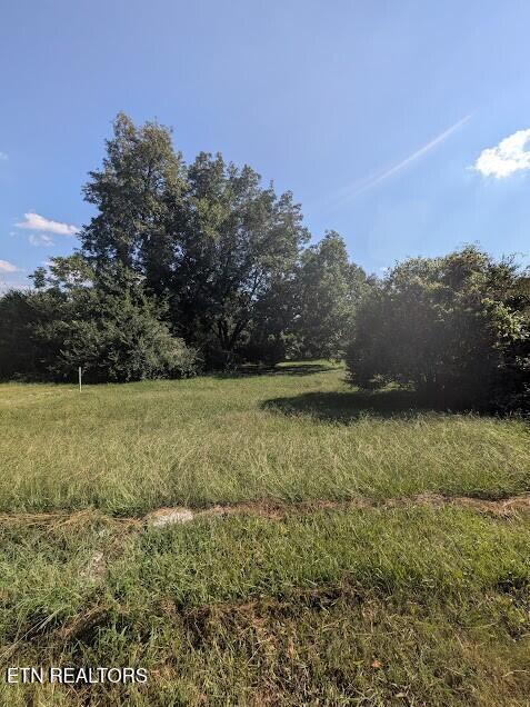 Tiny photo for 1807 Chestnut St, Sweetwater, TN 37874 (MLS # 1355973)