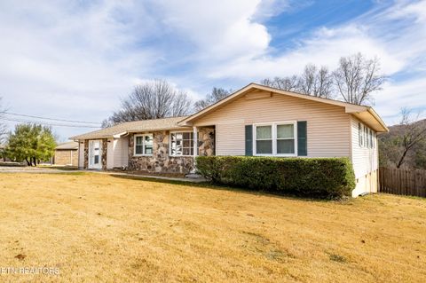 Tiny photo for 135 Rhonda Way, Rockwood, TN 37854 (MLS # 1324096)