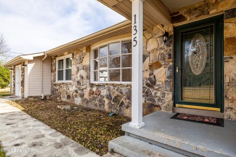 Tiny photo for 135 Rhonda Way, Rockwood, TN 37854 (MLS # 1324096)