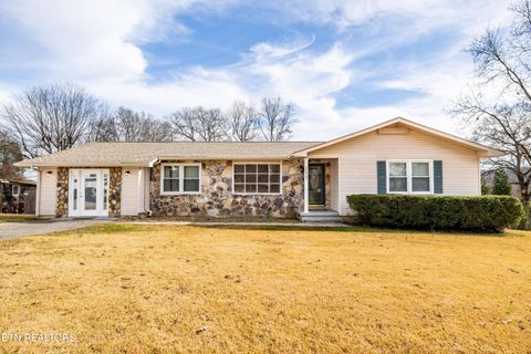 Photo of 135 Rhonda Way, Rockwood, TN 37854 (MLS # 1324096)