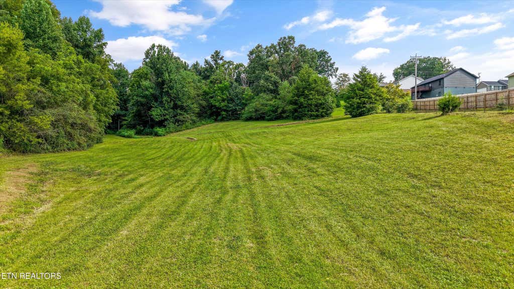 Photo of 1696 Clouds Rd, New Tazewell, TN 37825 (MLS # 1352868)