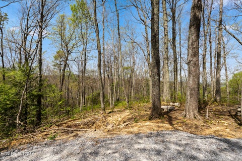 Tiny photo for 1066 Ski View Drive, Gatlinburg, TN 37738 (MLS # 1338821)