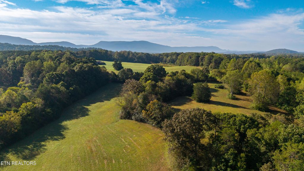 Photo of 238 County Road 792, Etowah, TN 37331 (MLS # 1303079)