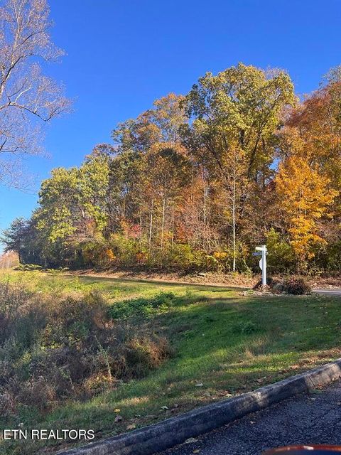 Tiny photo for Anchor Lane, Andersonville, TN 37705 (MLS # 1322373)