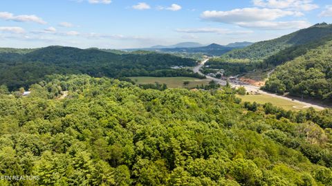 Tiny photo for 30 Waldens Creek Rd, Sevierville, TN 37862 (MLS # 1328542)