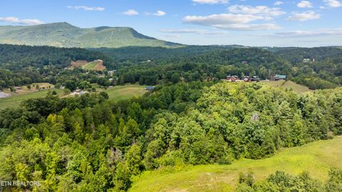 Tiny photo for 30 Waldens Creek Rd, Sevierville, TN 37862 (MLS # 1328542)