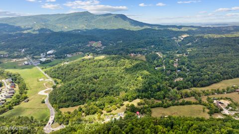 Tiny photo for 30 Waldens Creek Rd, Sevierville, TN 37862 (MLS # 1328542)