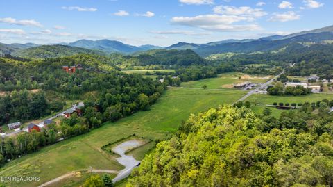 Tiny photo for 30 Waldens Creek Rd, Sevierville, TN 37862 (MLS # 1328542)