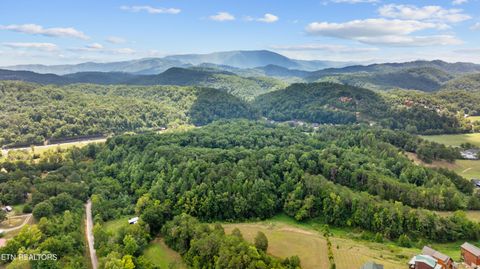 Tiny photo for 30 Waldens Creek Rd, Sevierville, TN 37862 (MLS # 1328542)