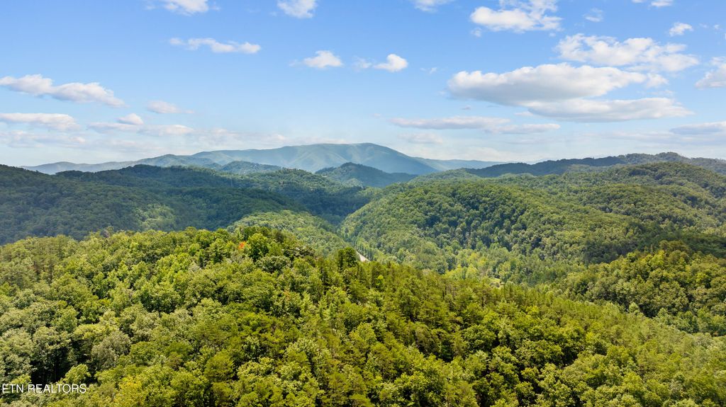 Photo of 30 Waldens Creek Rd, Sevierville, TN 37862 (MLS # 1328542)