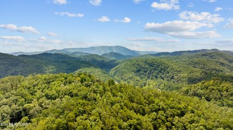 Tiny photo for 30 Waldens Creek Rd, Sevierville, TN 37862 (MLS # 1328542)