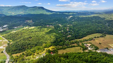 Tiny photo for 30 Waldens Creek Rd, Sevierville, TN 37862 (MLS # 1328542)