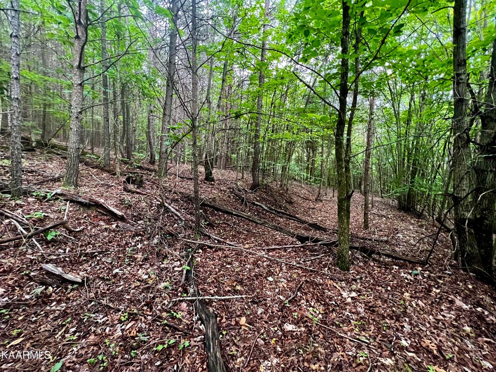 Photo of 964 Whistle Valley Road, Lot #233, New Tazewell, TN 37825 (MLS # 1231335)