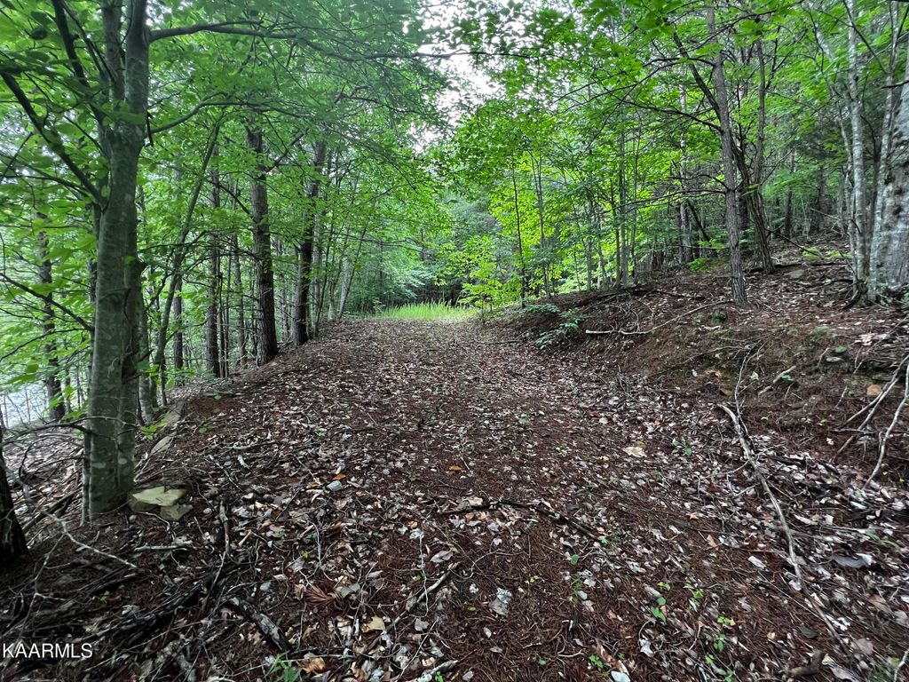 Photo of 964 Whistle Valley Road, Lot #233, New Tazewell, TN 37825 (MLS # 1231335)